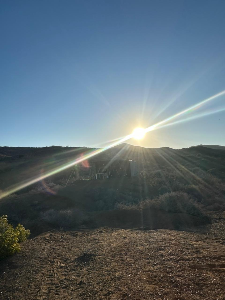 Incredible moment touching gray whale
