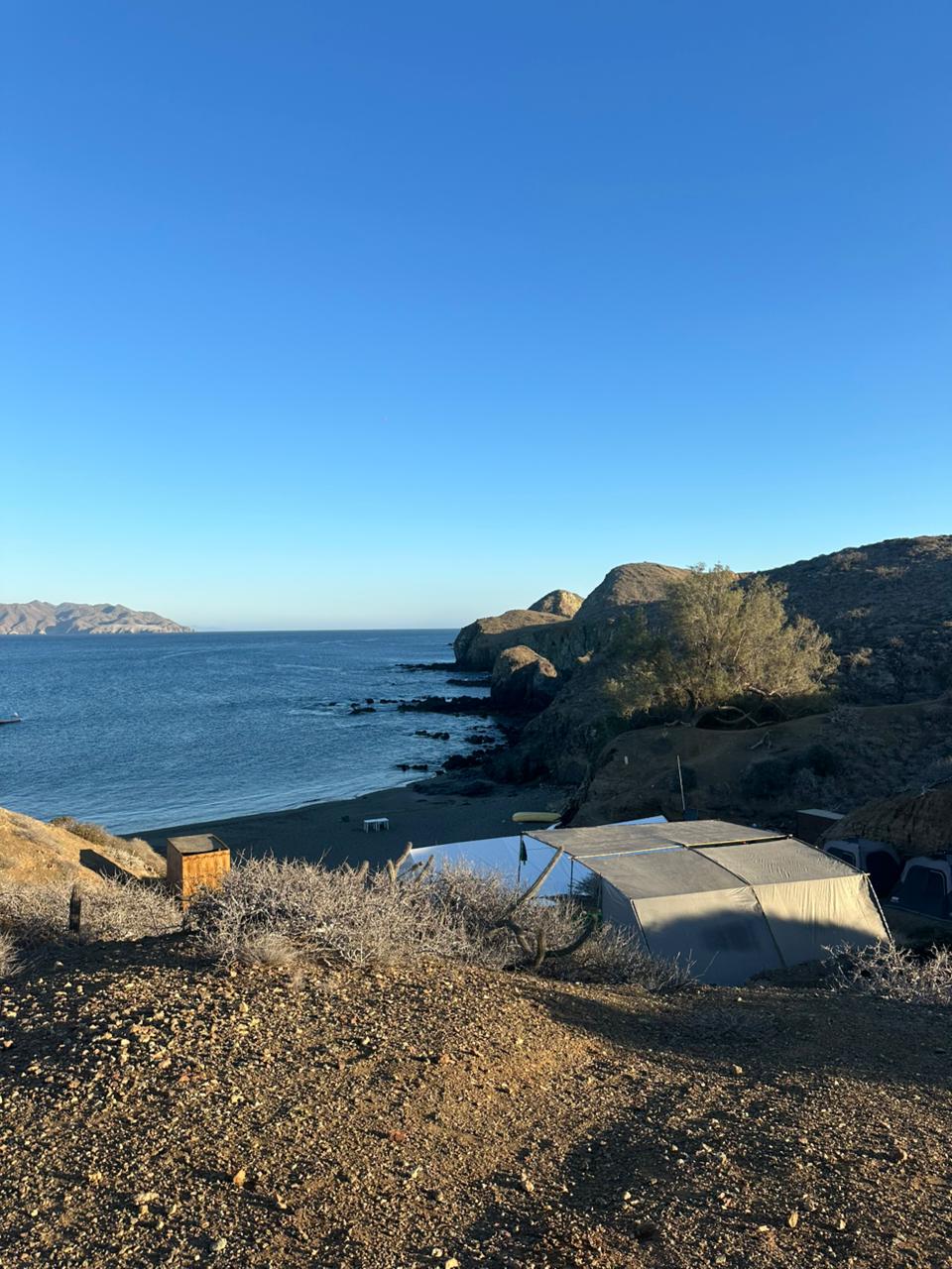 Whale watching experience